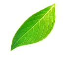 nutrition shape