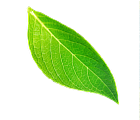 health design